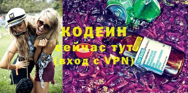 ECSTASY Алзамай