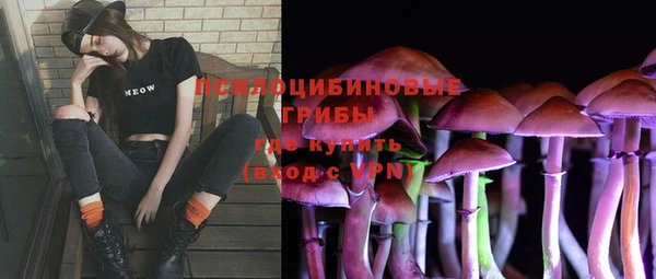 гашик Алексеевка