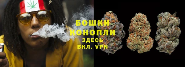 гашик Алексеевка