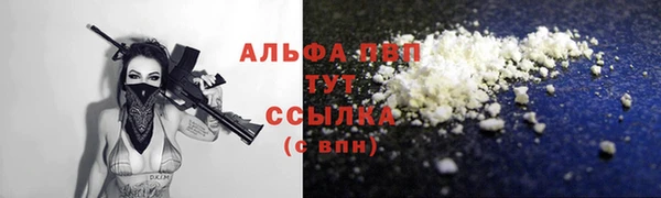 гашик Алексеевка