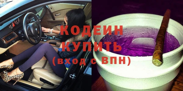 ECSTASY Алзамай