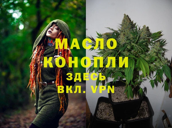 дмт Алексин