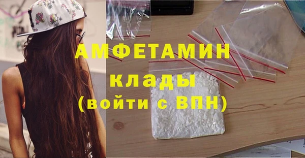гашик Алексеевка