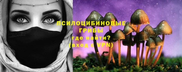 ECSTASY Алзамай