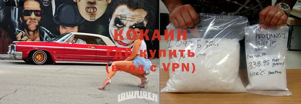 гашик Алексеевка
