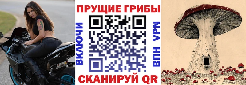 Псилоцибиновые грибы мицелий  Пенза 