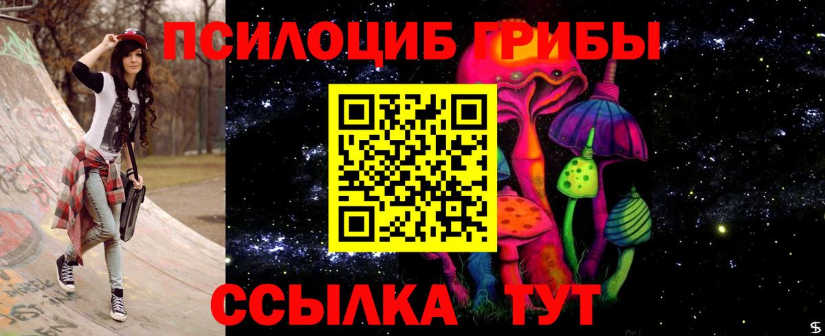 Псилоцибиновые грибы Cubensis Пенза